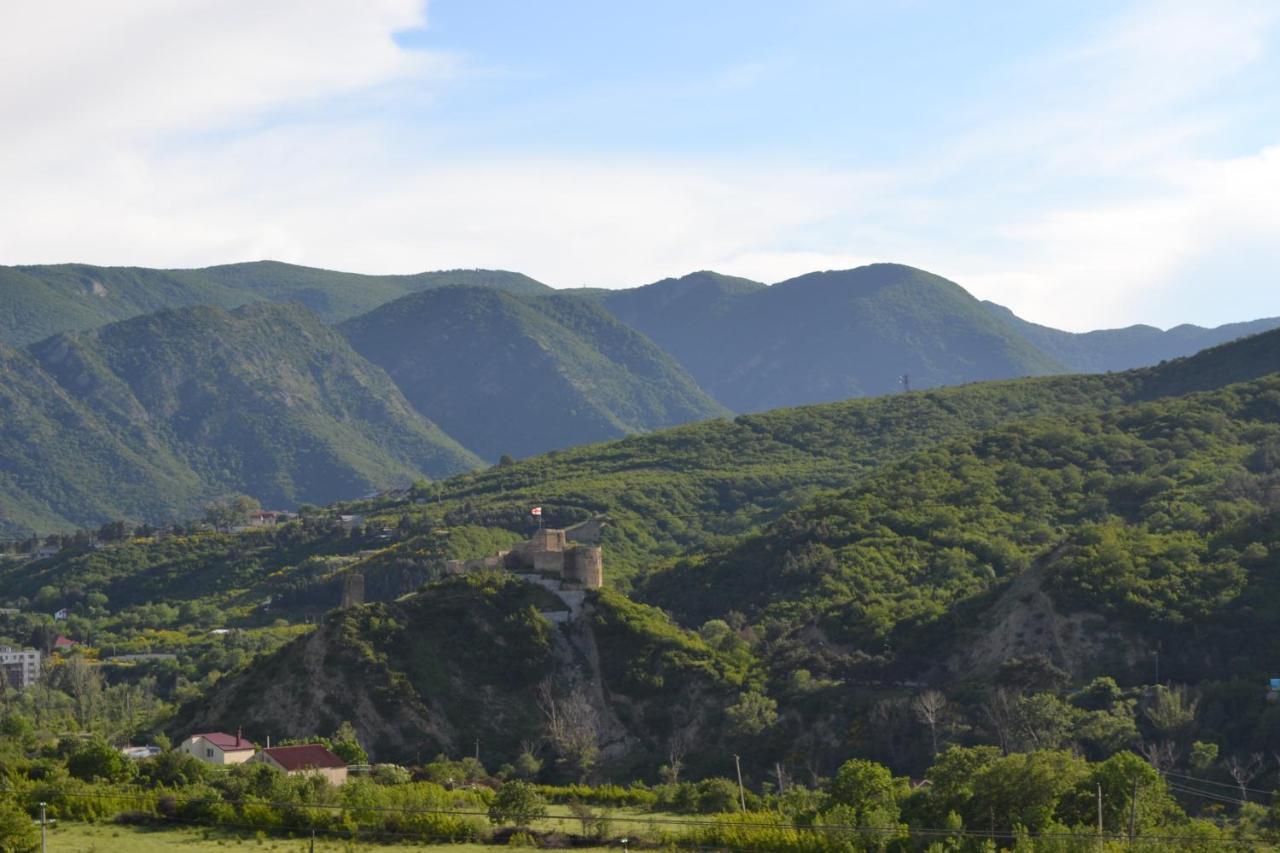 Zedazeni Hotel Mtskheta Luaran gambar